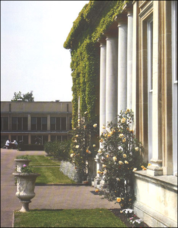 Lady Hillingdon Roses at the American Community School, Vine Lane, Hillingdon